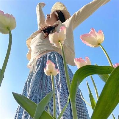 雏鸟的天空